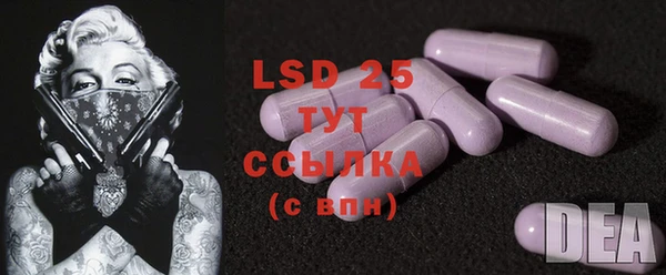 дмт Протвино
