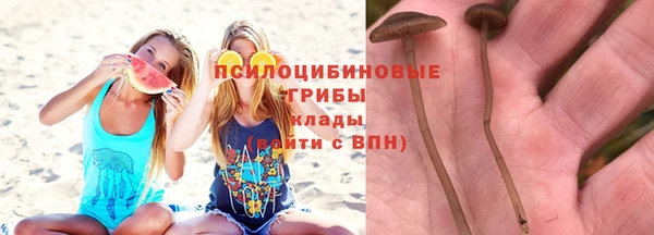 герыч Россошь