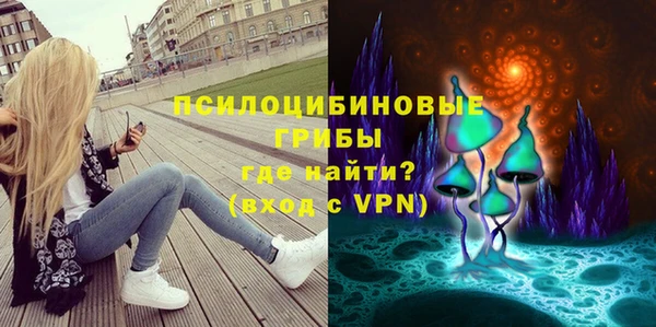 герыч Россошь